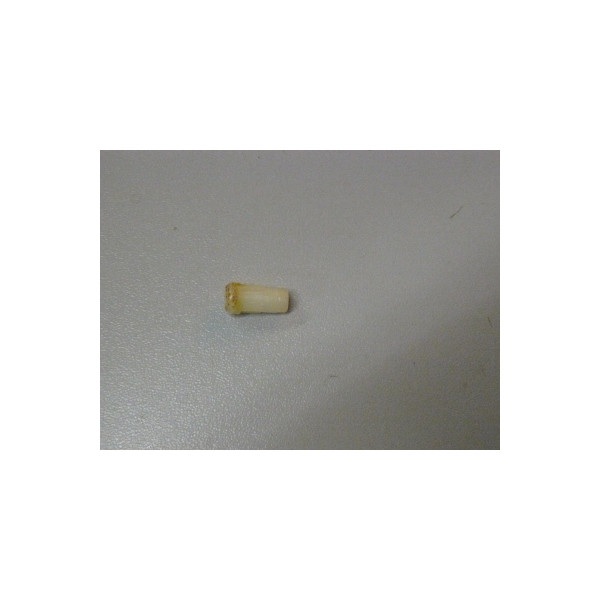 U575-120-006