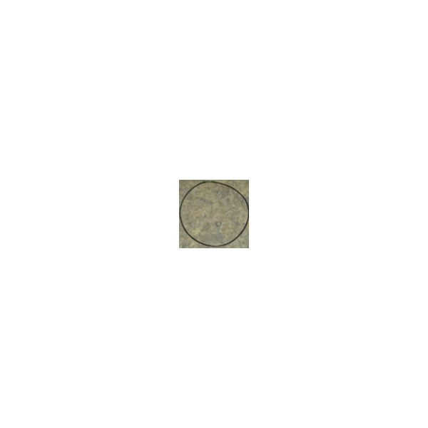 N000-006-539_v1