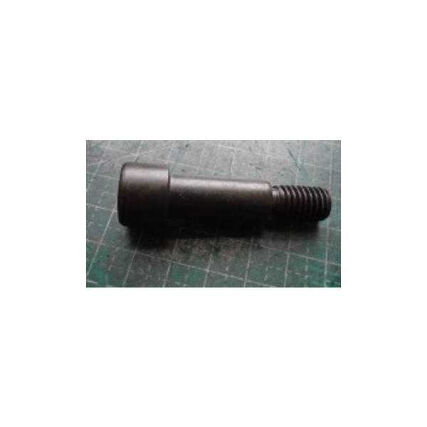 Болт M17х55