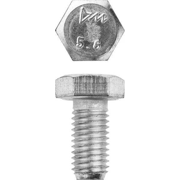 ЗУБР ГОСТ 7798-70, кл. пр. 5.8, M12 х 25 мм, цинк, 5 кг, болт (303080-12-025)